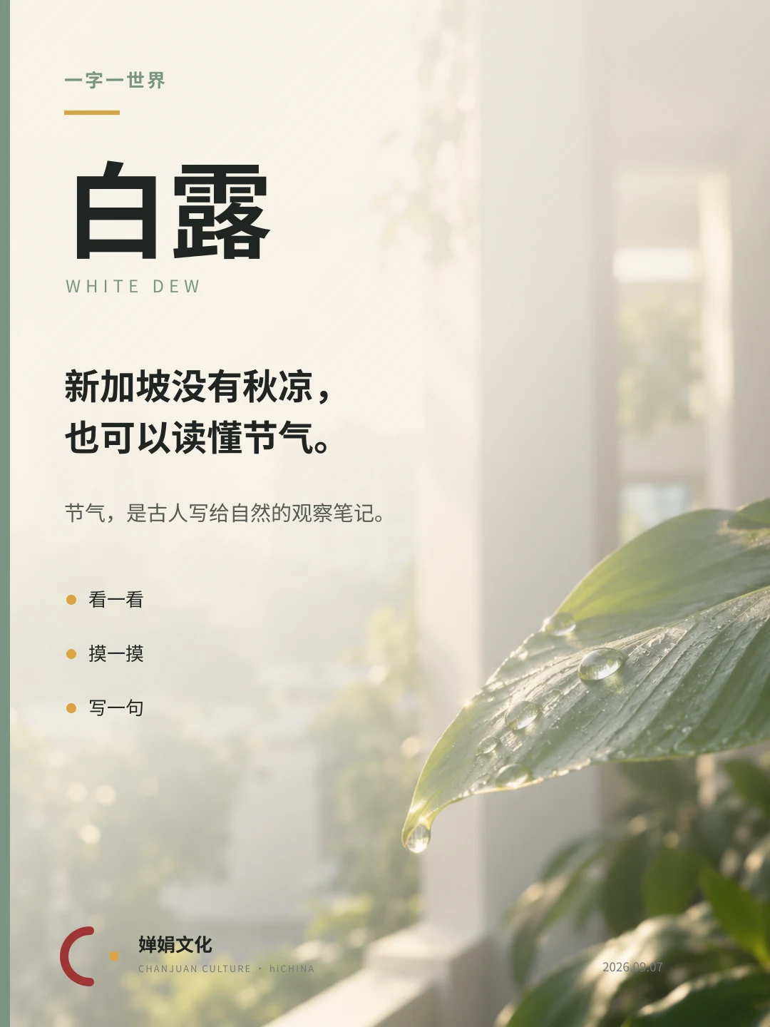 White Dew cultural poster featuring droplets on a leaf